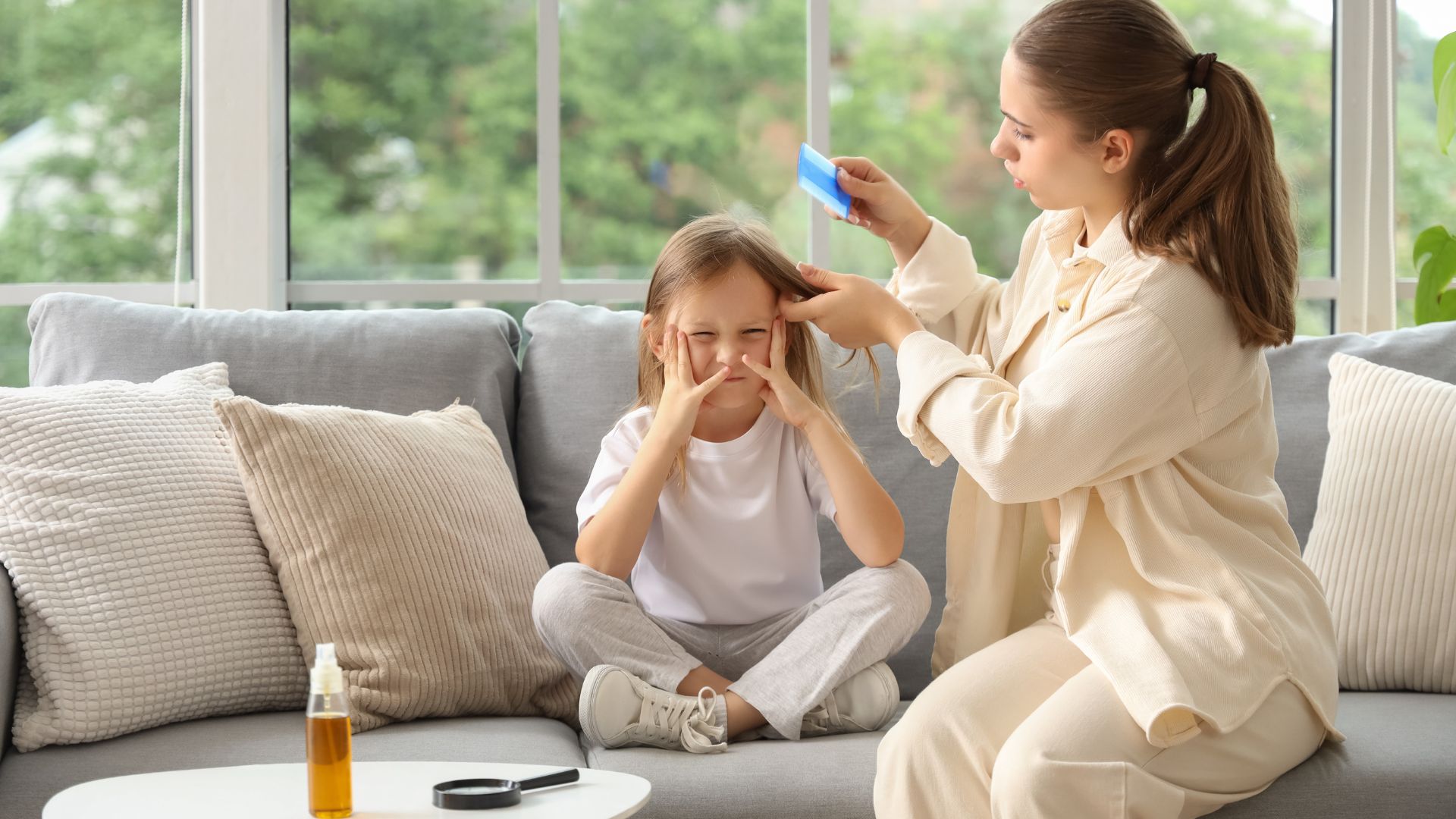Why Dogs Don’t Get Human Head Lice