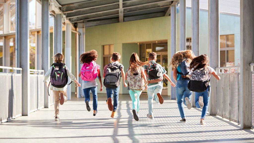 Head Lice in Schools What Parents Should Know to Protect Their Children